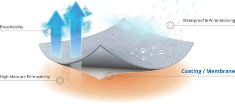 fabric water vapor permeable tester department Store|Overview of Moisture Permeability and Breathability .